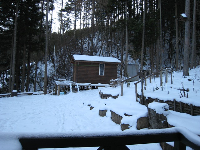 d0065484_113944.jpg