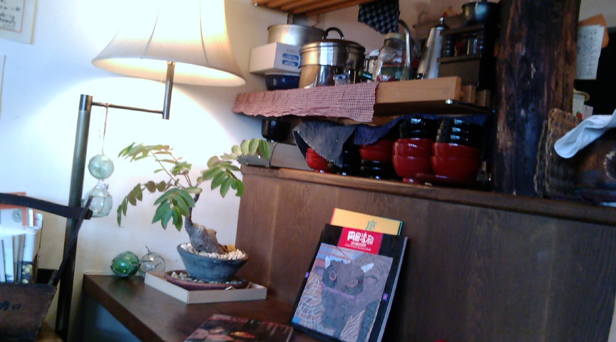 e0090584_16375794.jpg