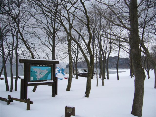 c0009287_16112795.jpg