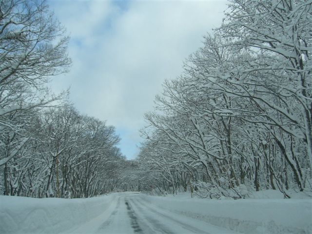 c0009287_1685269.jpg