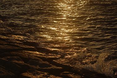 c0046587_1763127.jpg