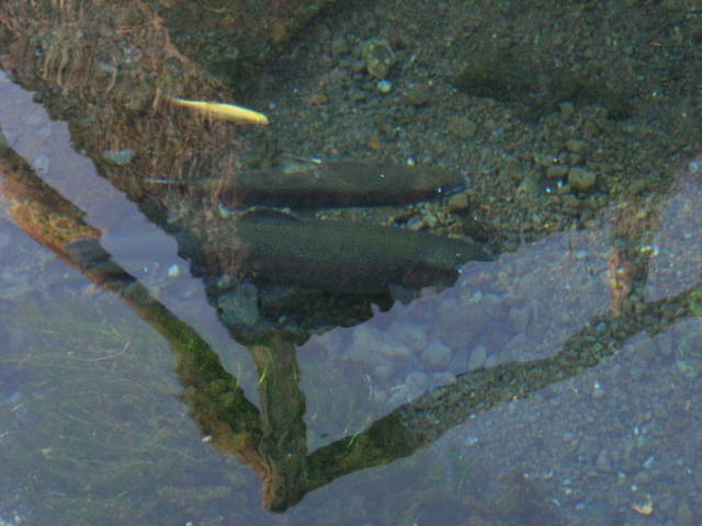 a0045688_23662.jpg