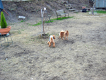 c0130389_063256.jpg