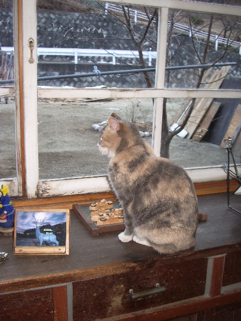 c0159589_20193519.jpg