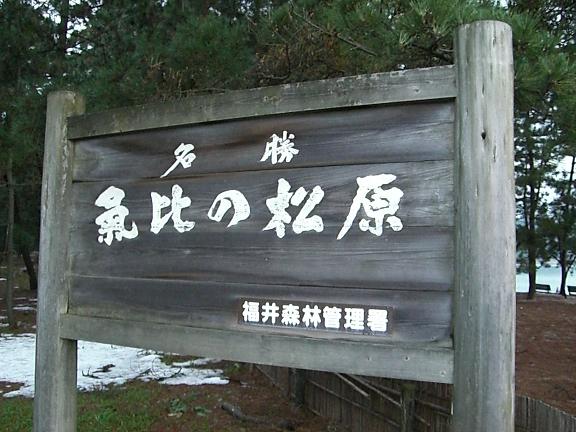 f0068291_20231628.jpg
