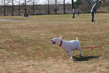 a0090292_2241333.jpg