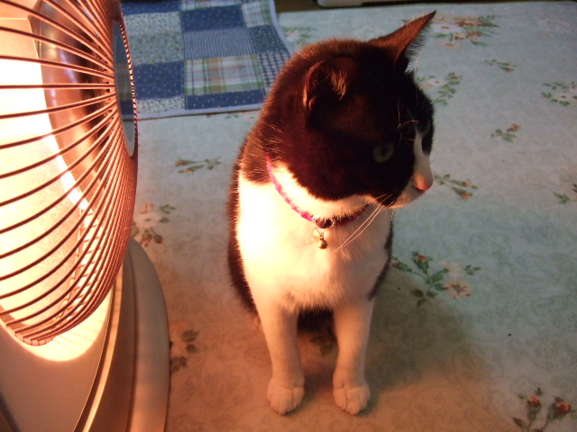 c0150193_1623222.jpg