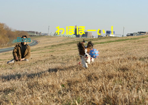 c0044199_22234036.jpg