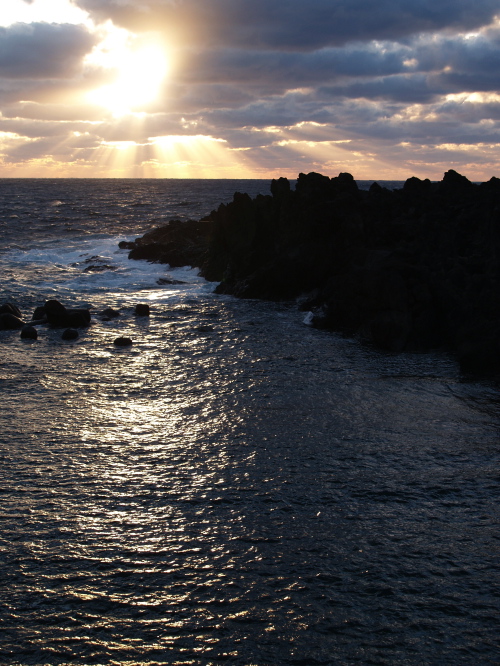 e0089001_2248829.jpg