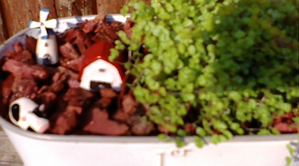 c0152002_178268.jpg