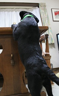 c0156510_2044117.jpg