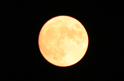 a0073915_22215686.jpg