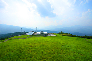 c0148716_1943752.jpg