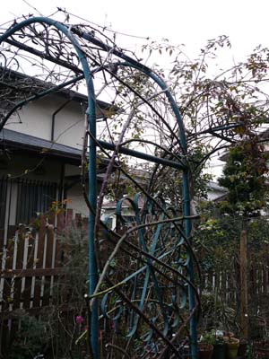 f0059818_1633687.jpg