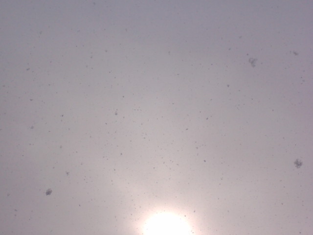 f0126418_1323565.jpg