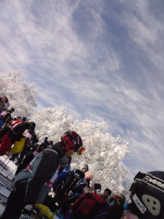 f0128723_23452947.jpg