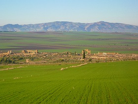 c0153330_7285331.jpg