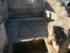 c0153330_7304029.jpg