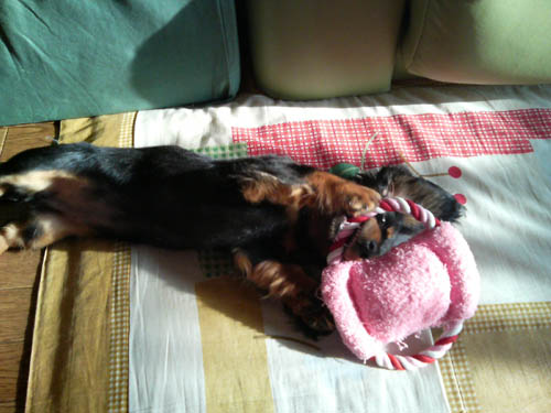 c0117831_2338341.jpg