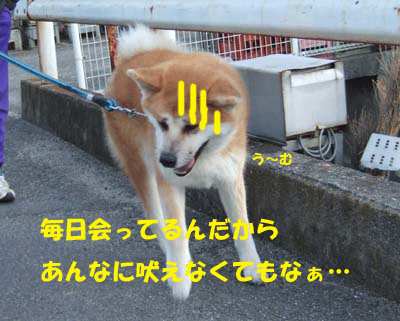 f0008935_18142780.gif