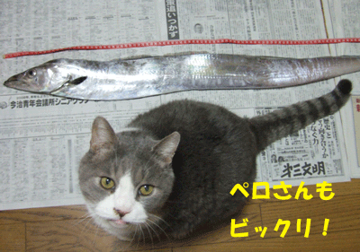 f0008935_7473358.gif
