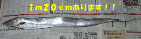 f0008935_747520.gif