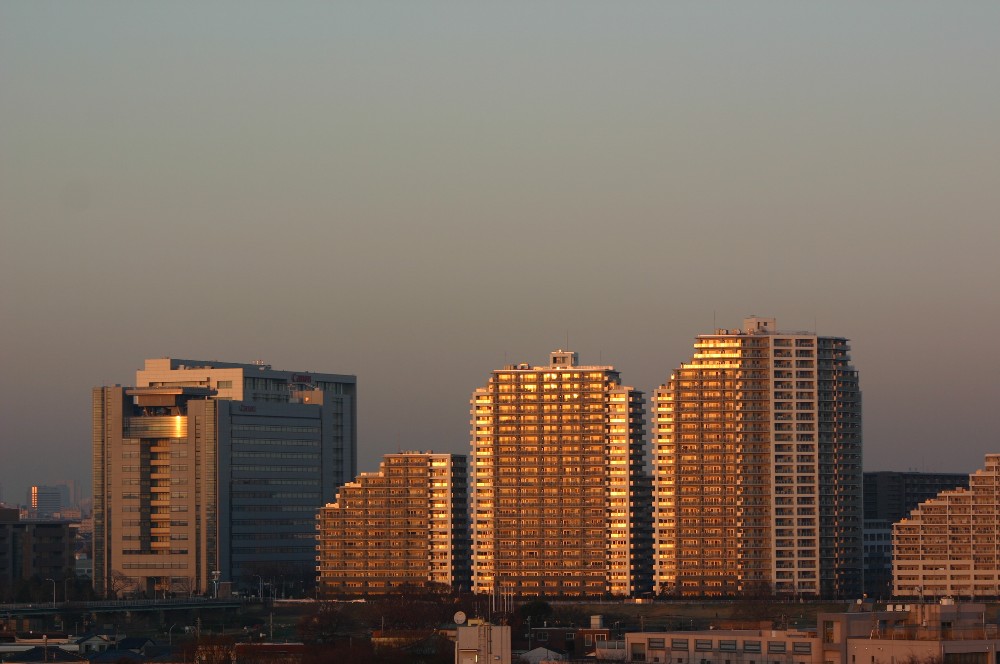 b0012636_11154477.jpg