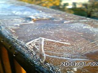 b0102639_17312761.jpg