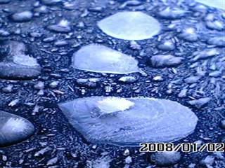 b0102639_173176.jpg