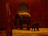 c0153740_1273661.jpg