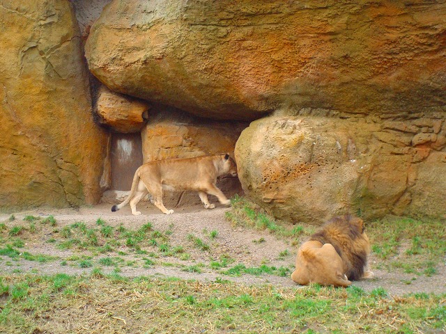 c0153740_1295475.jpg