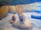 c0153740_1303423.jpg