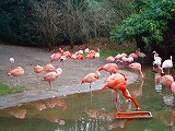 c0153740_1391956.jpg