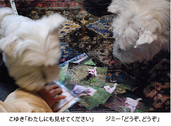 e0077142_0143488.jpg