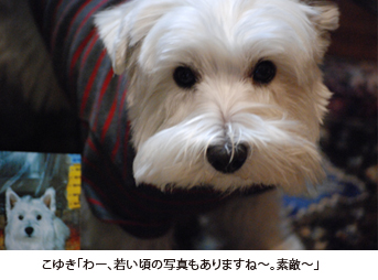 e0077142_0144489.jpg