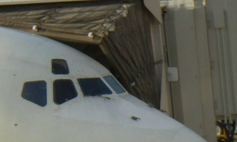 e0118346_21563480.jpg