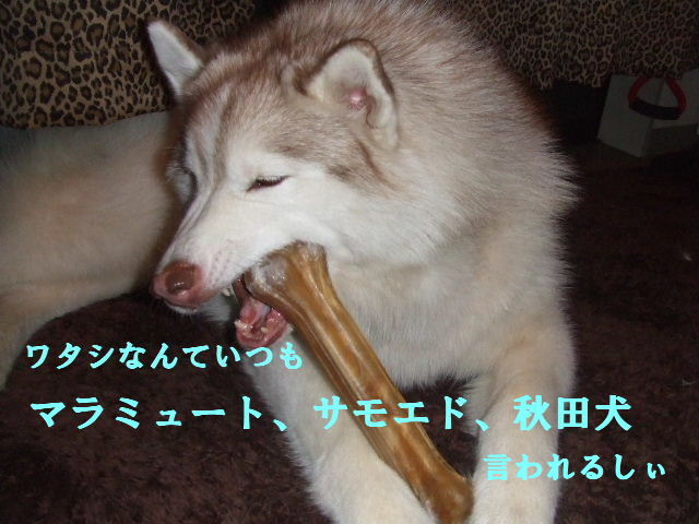 e0121548_1014846.jpg