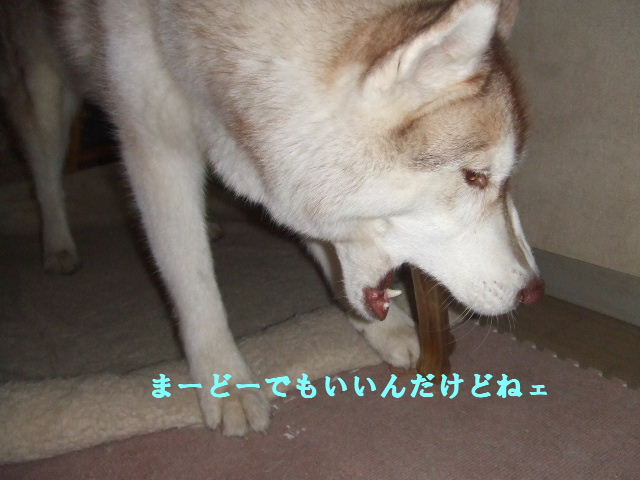 e0121548_101594.jpg