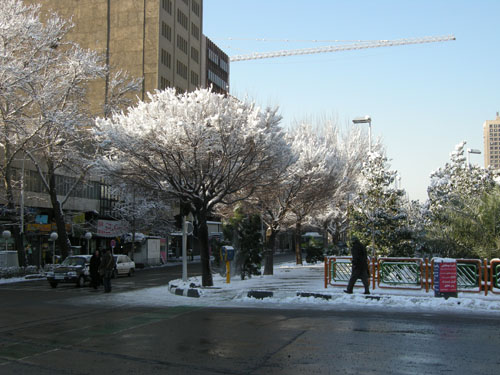 b0006449_18401551.jpg