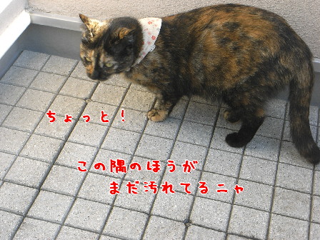 d0013149_0103825.jpg
