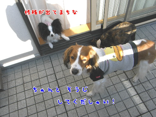 d0013149_013640.jpg