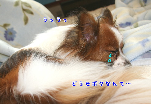 d0013149_0165526.jpg
