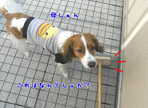 d0013149_0229.jpg