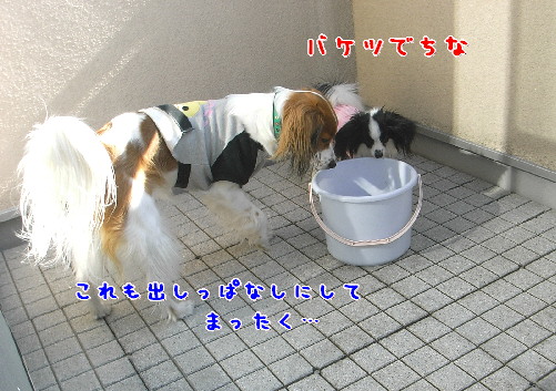 d0013149_09837.jpg
