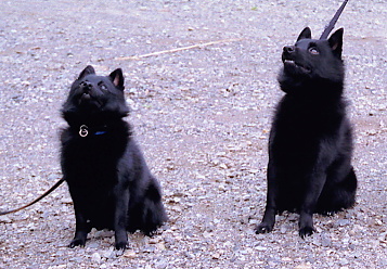 a0009750_10345150.jpg