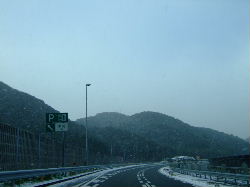 e0088654_991729.jpg