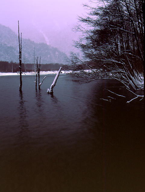 b0083855_2359116.jpg