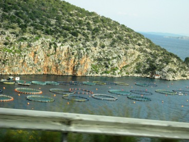 e0106658_0572584.jpg