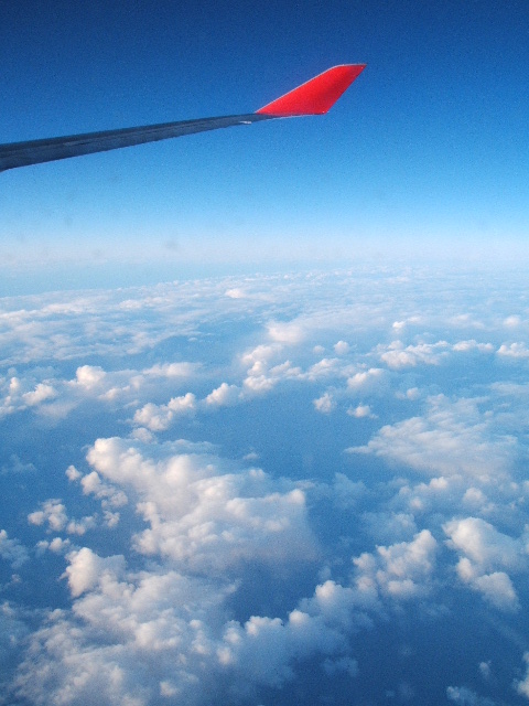 d0107660_194197.jpg