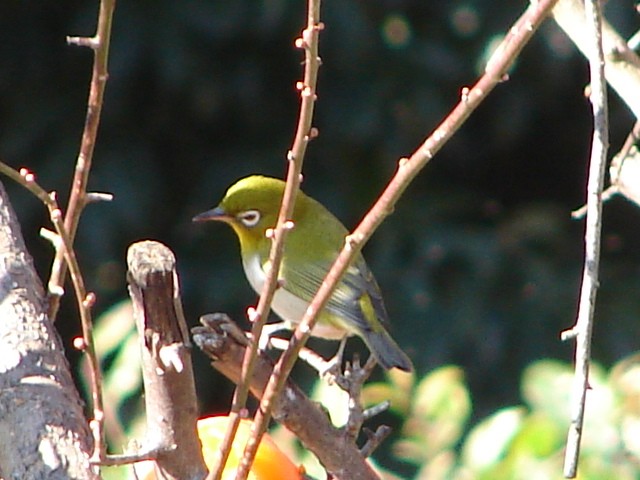 b0061261_22144884.jpg